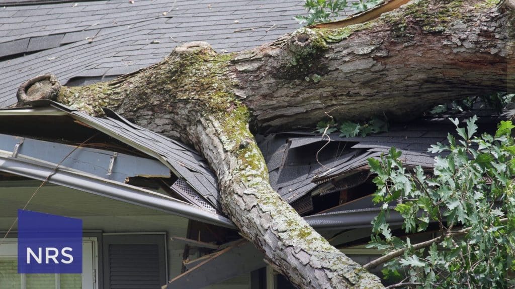 Learn how to identify roof damage before it worsens. This comprehensive guide empowers homeowners with inspection techniques and signs of hidden roof issues tailored specifically for the UK context.